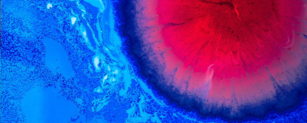 Food dye in milk photography